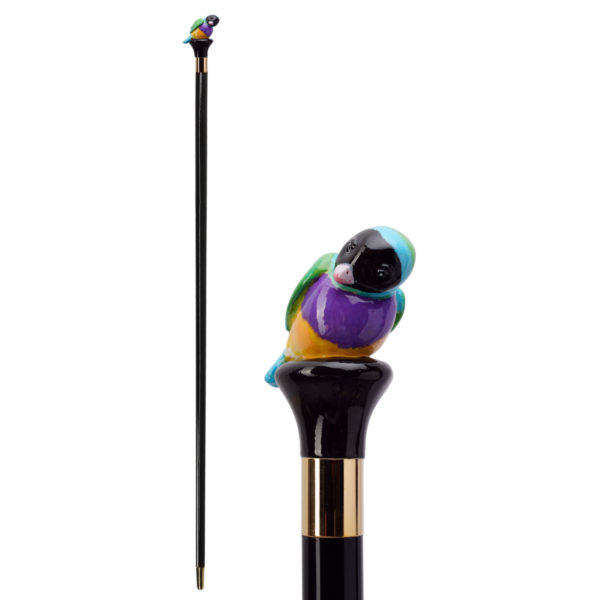 Walking Sticks Bastone con impugnatura modellata e dipinta a mano uccellino multicolor